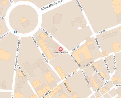 Nokta Asistan Dedektör - Metal dedektörü arama ve hobi ekipmanları ürün görseli.