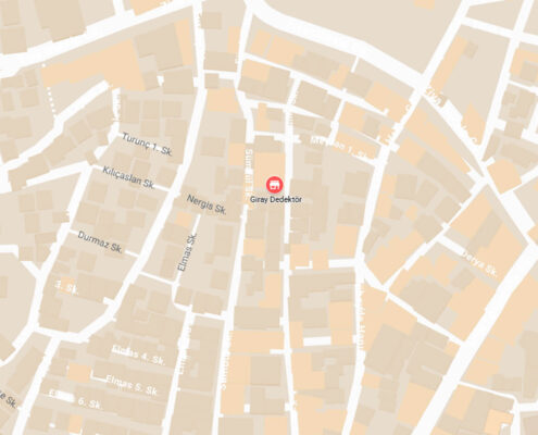 Giray Dedektör (Ergani) - Kapak